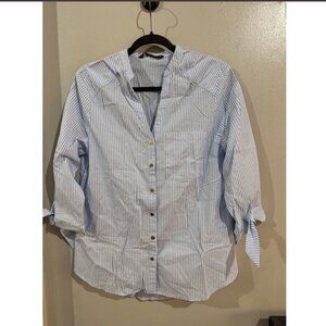 Zara Basic Collection Blue White Striped Button Down Blouse V Neck Sz L NWT
